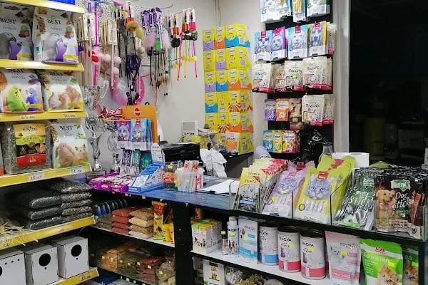 World Pet Shop - Resim 2