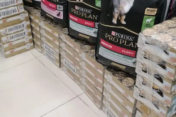 World Pet Shop - Resim 3