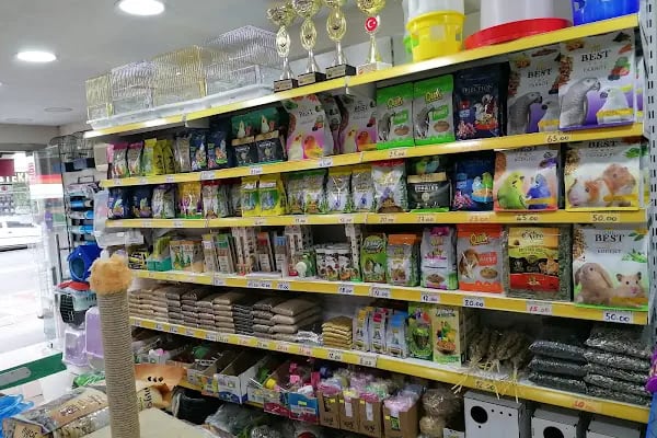 World Pet Shop - Resim 5