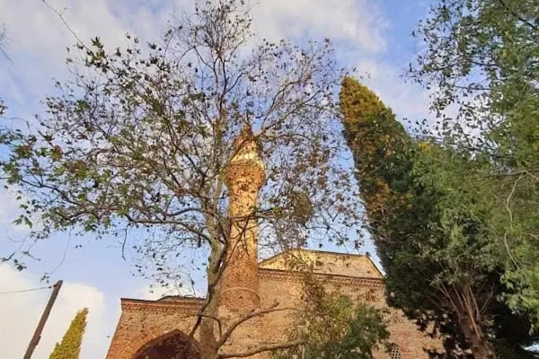 Süleymaniye Cami - Resim 14