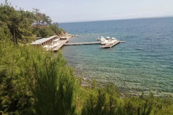Gökçetepe Tabiat Parkı - Resim 16