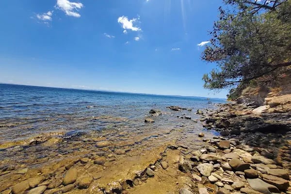 Gökçetepe Tabiat Parkı - Resim 8
