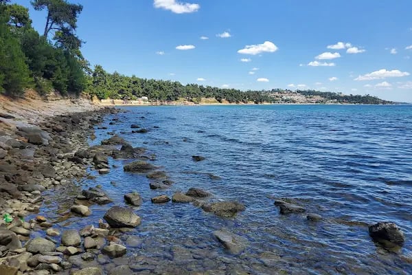 Gökçetepe Tabiat Parkı - Resim 15
