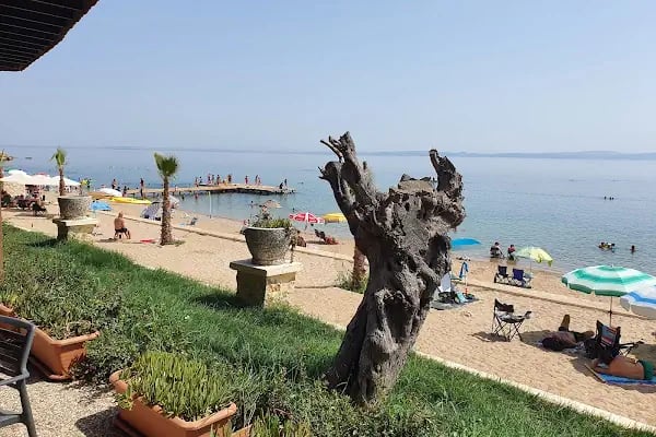 Gökçetepe Tabiat Parkı - Resim 13