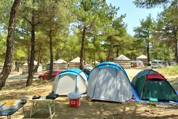 Gökçetepe Tabiat Parkı - Resim 11