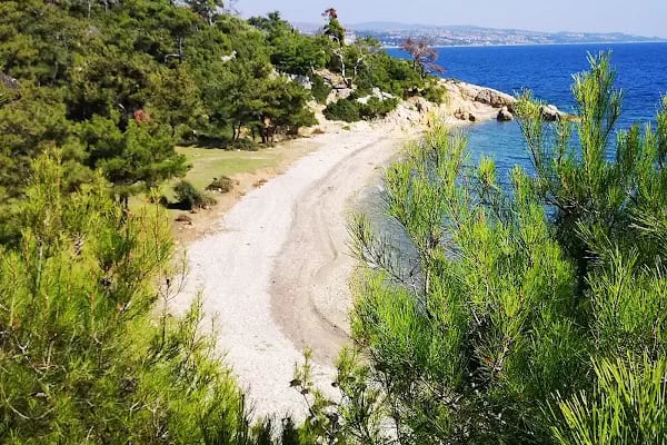Gökçetepe Tabiat Parkı - Resim 19