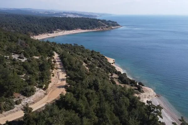 Gökçetepe Tabiat Parkı - Resim 20