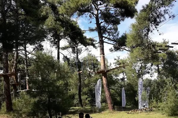 Gökçetepe Tabiat Parkı - Resim 6