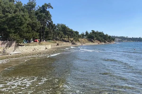 Gökçetepe Tabiat Parkı - Resim 10