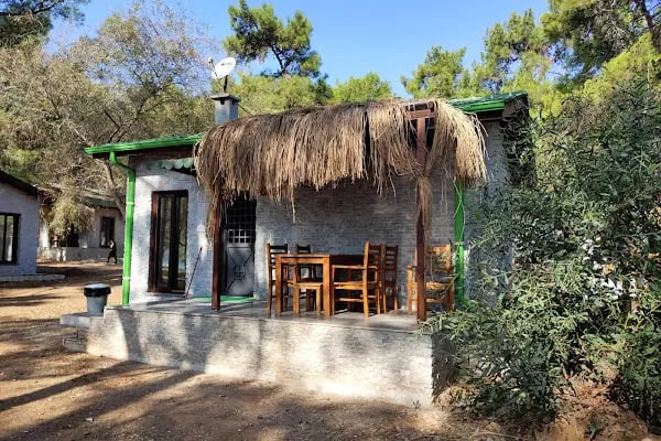 Kovanlık Tabiat Parkı - Resim 19
