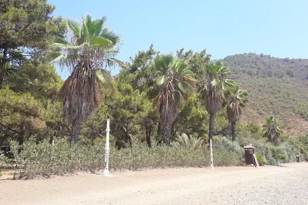 Kovanlık Tabiat Parkı - Resim 15