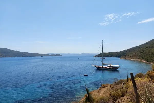 Kovanlık Tabiat Parkı - Resim 3