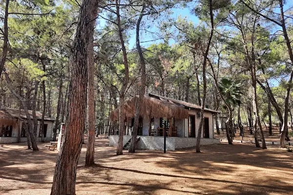 Kovanlık Tabiat Parkı - Resim 4