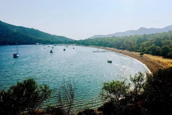 Kovanlık Tabiat Parkı - Resim 17