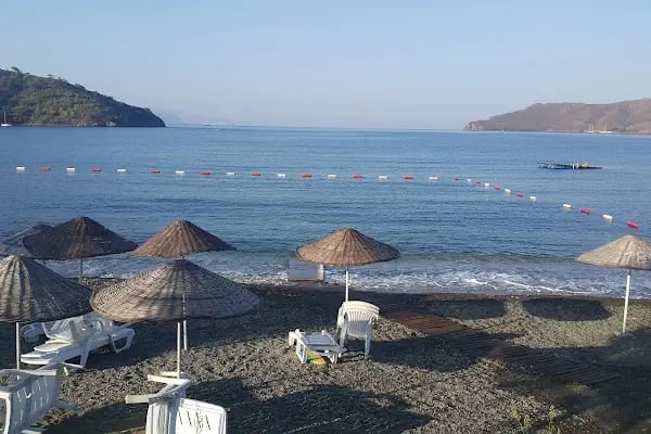 Kovanlık Tabiat Parkı - Resim 20