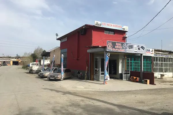 ÖZEL MÜZİK HASTANESİ - Resim 10