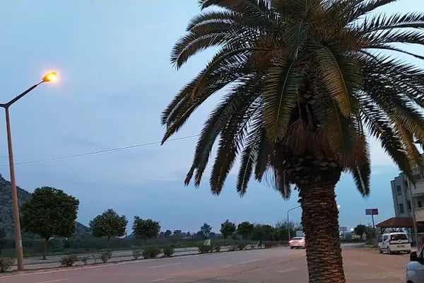 Bizim Toptan Market Adana - Kozan - Resim 5