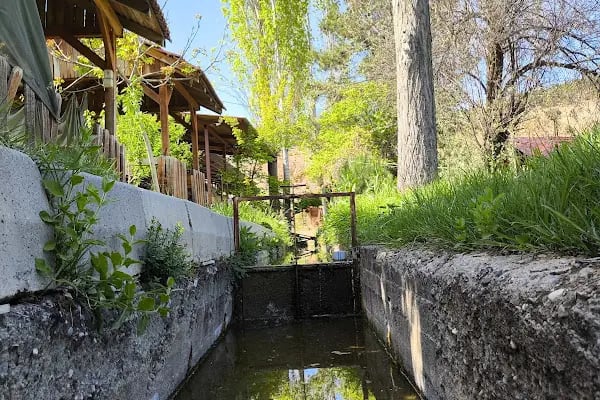 Değirmende Canlı Alabalık (Balıkçı Saim) Alabalık, Izgara / Akalan ksb. - Resim 2
