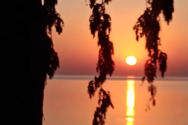 S.S Bodrum Sahil Evleri - Resim 9