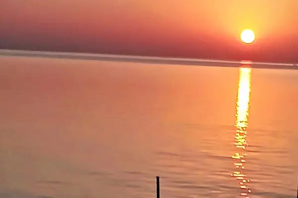 S.S Bodrum Sahil Evleri - Resim 11