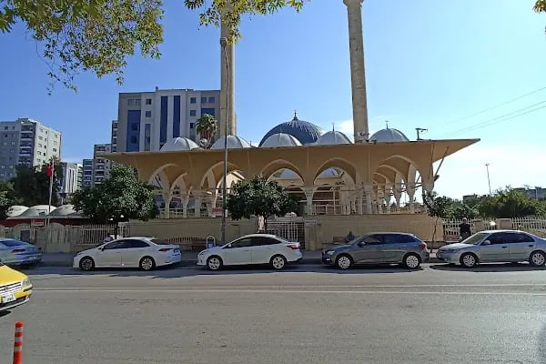 Çifte Minare Cami - Resim 8