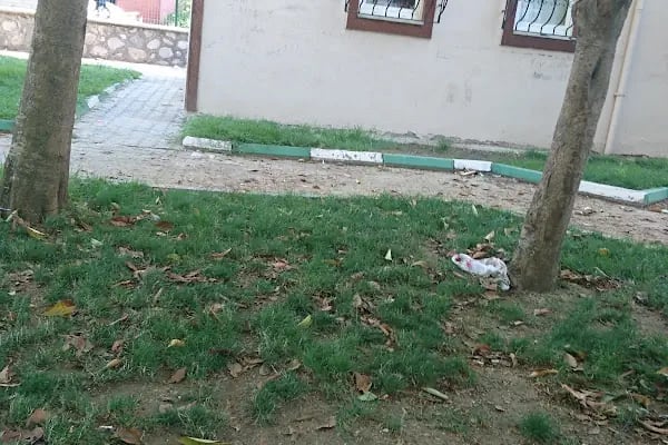 Zafer Parkı - Resim 18