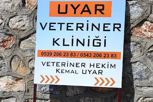 Uyar Veteriner Kliniği - Resim 8