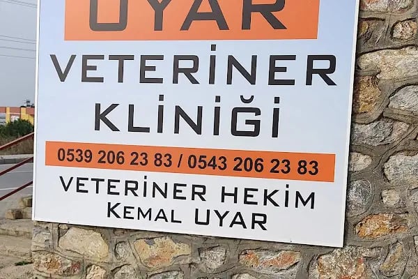 Uyar Veteriner Kliniği - Resim 5