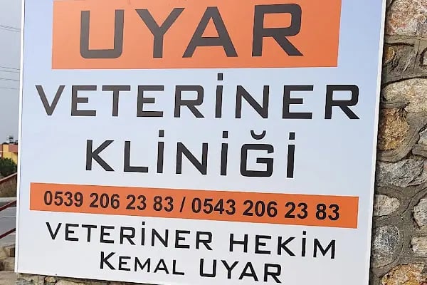 Uyar Veteriner Kliniği - Resim 12