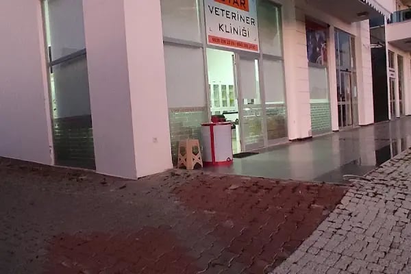 Uyar Veteriner Kliniği - Resim 2