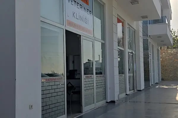 Uyar Veteriner Kliniği - Resim 1