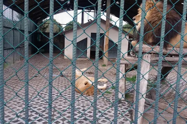 Samsun Şehirlerarası Otobüs Terminali - Resim 18