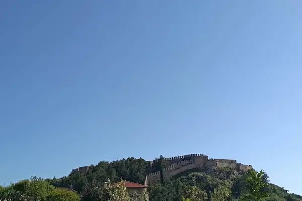 Alanya Tadım Tantuni HACET ŞUBE - Resim 12