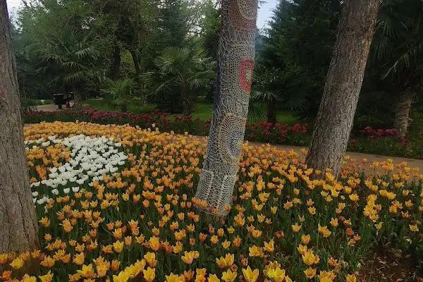 Botanik Bahçesi - Resim 12