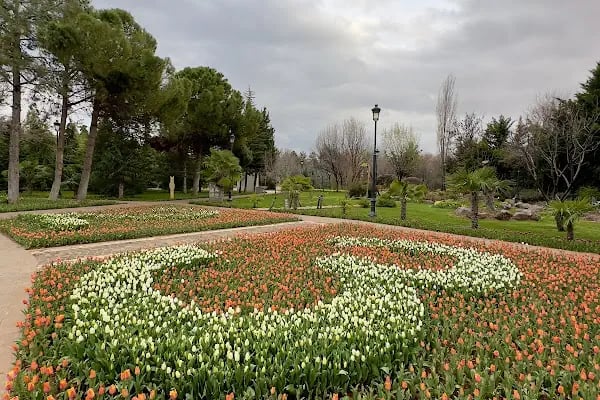 Botanik Bahçesi - Resim 19