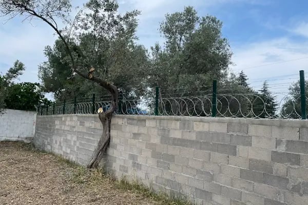 Yaşa ticaret İzmir tel örgü tel çit sistemleri - Resim 20
