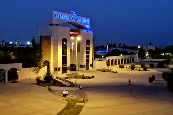 Havaist avcılar - Resim 4
