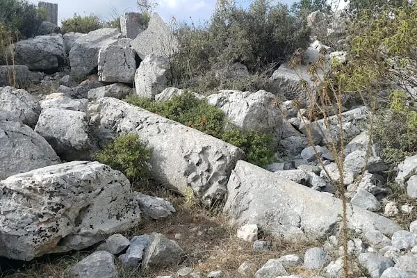 Leartes.NET - Resim 19
