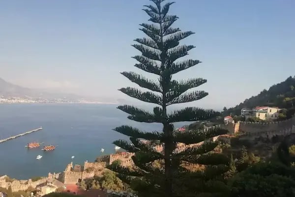 Yeni Alanya Gazetesi - Resim 2