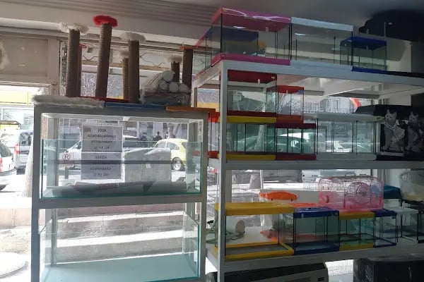 uğurlu pet shop - Resim 10