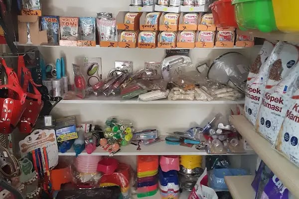 uğurlu pet shop - Resim 14