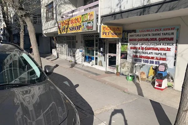 uğurlu pet shop - Resim 3