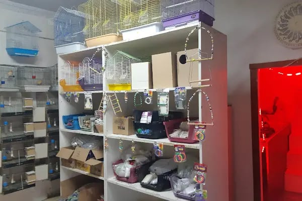 uğurlu pet shop - Resim 13
