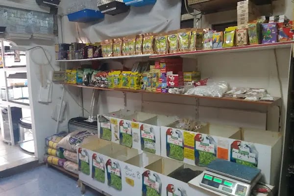 uğurlu pet shop - Resim 11