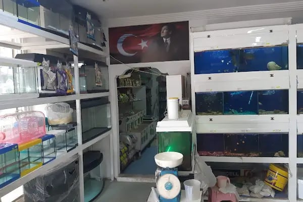 uğurlu pet shop - Resim 19