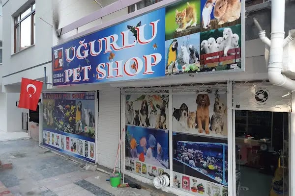 uğurlu pet shop - Resim 5