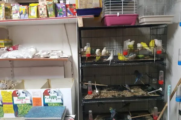 uğurlu pet shop - Resim 18
