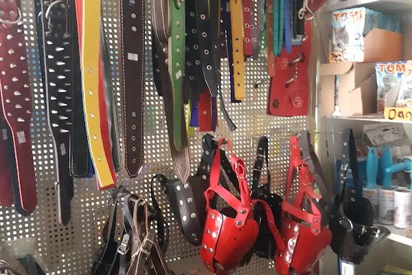 uğurlu pet shop - Resim 6