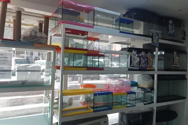 uğurlu pet shop - Resim 12