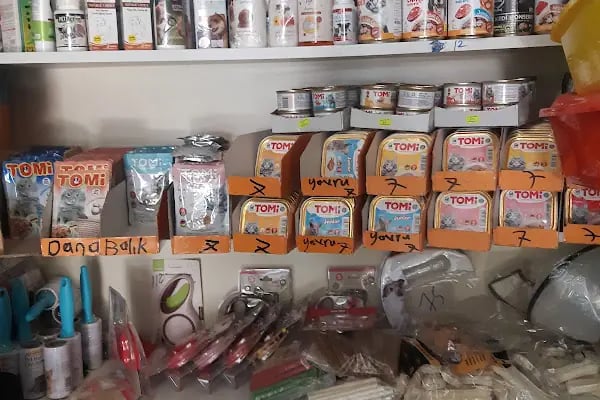 uğurlu pet shop - Resim 4